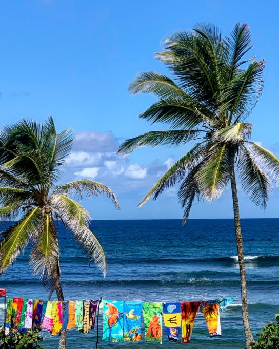 Bathsheba Barbados