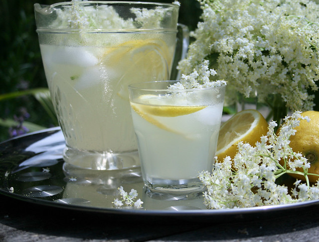 Prelude to Summer - Old Fashioned English Elderflower Cordial