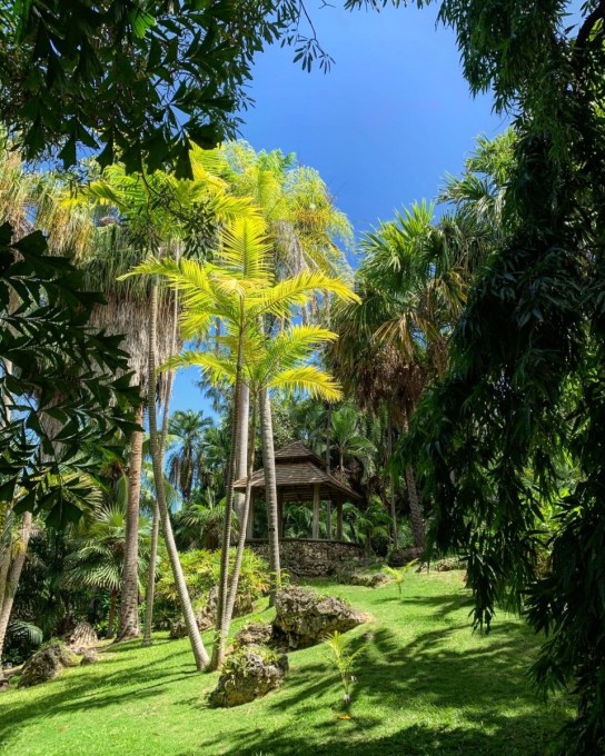 Andromeda Gardens Barbados