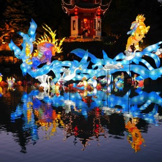 Chinese Lantern Festival