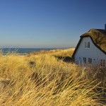 Thatched House