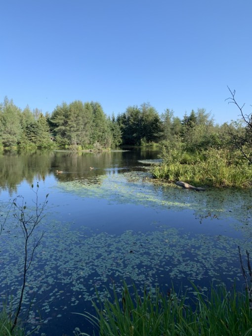 Refuge Pageau