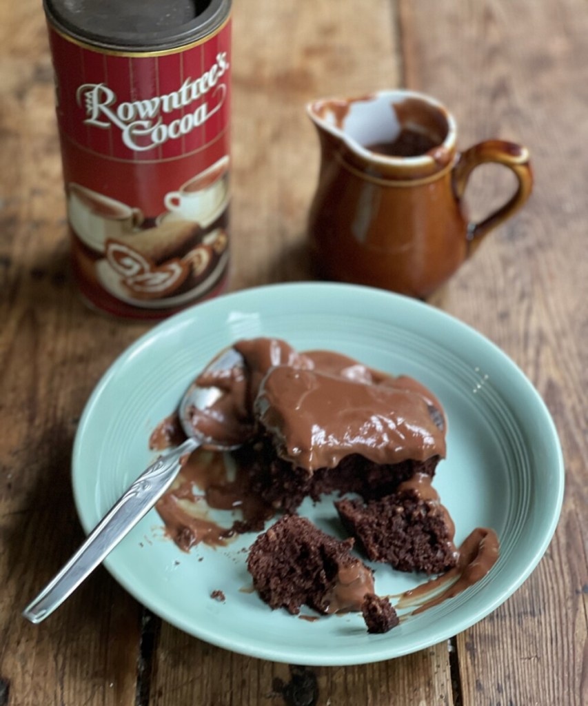 School Chocolate Sponge & Chocolate Custard