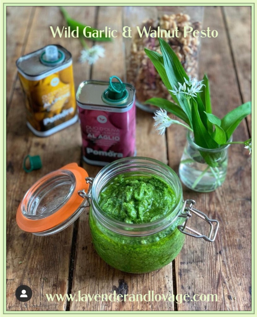 Wild Garlic & Walnut Pesto