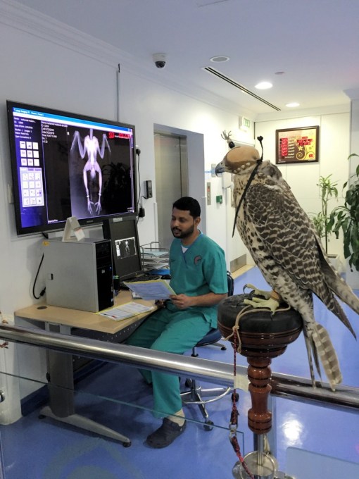 Falcon Hospital Doha Qatar