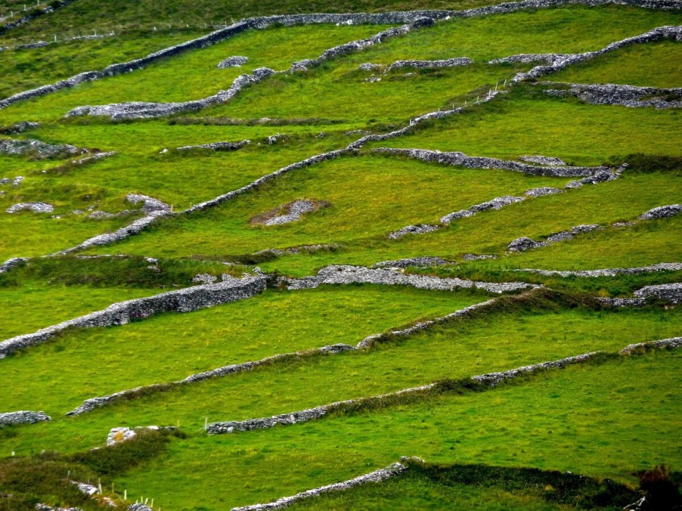 Rural Ireland