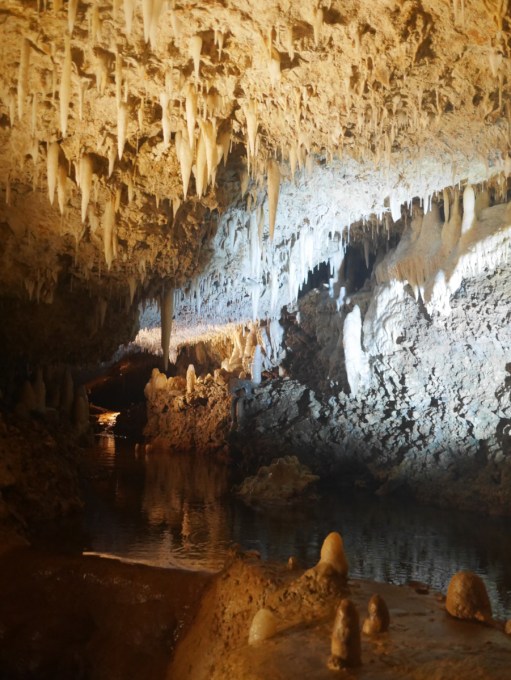 Harrison's Cave Barbados