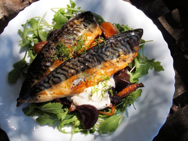 Smoked Mackerel with Hot Beetroot and Horseradish Cream