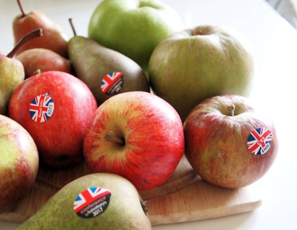 Taste the Season with British Apples and Pears: Apple, Bramble & Pear Tray Bake Recipe