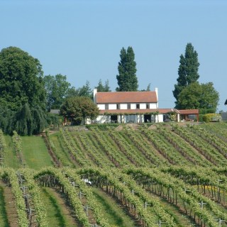 Three Choirs Vineyard